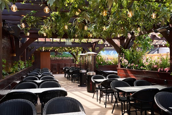 Blackstock Roof Garden